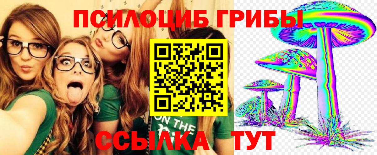 Галлюциногенные грибы Magic Shrooms  Галлюциногенные грибы Magic Shrooms  Кохма  Вход с VPN 