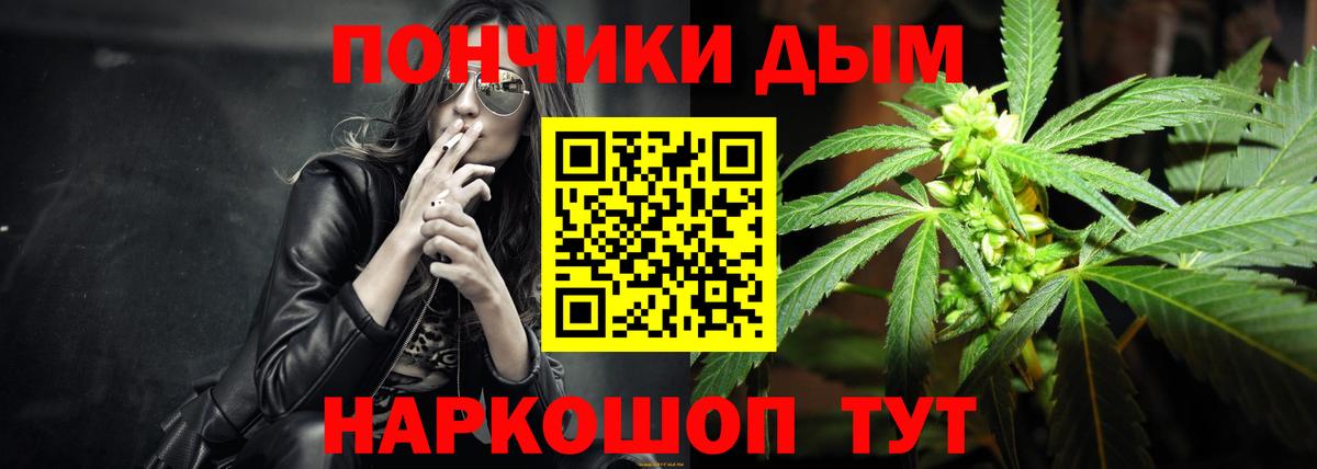Шишки марихуана сатива Кохма